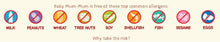 Load image into Gallery viewer, Baby Mum Mum - Organic Rice Rusks - Original (12 Months Plus, 18 Rusks, 36g)
